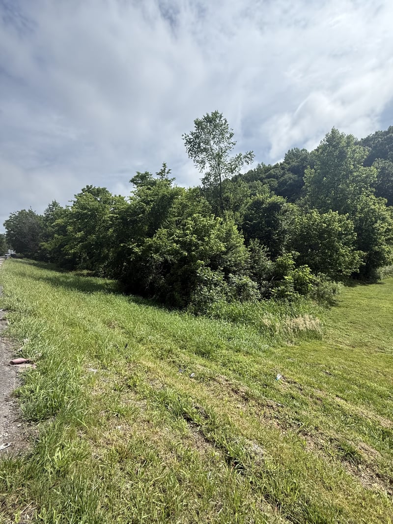 Highway 31 E, Westmoreland, TN 37186
