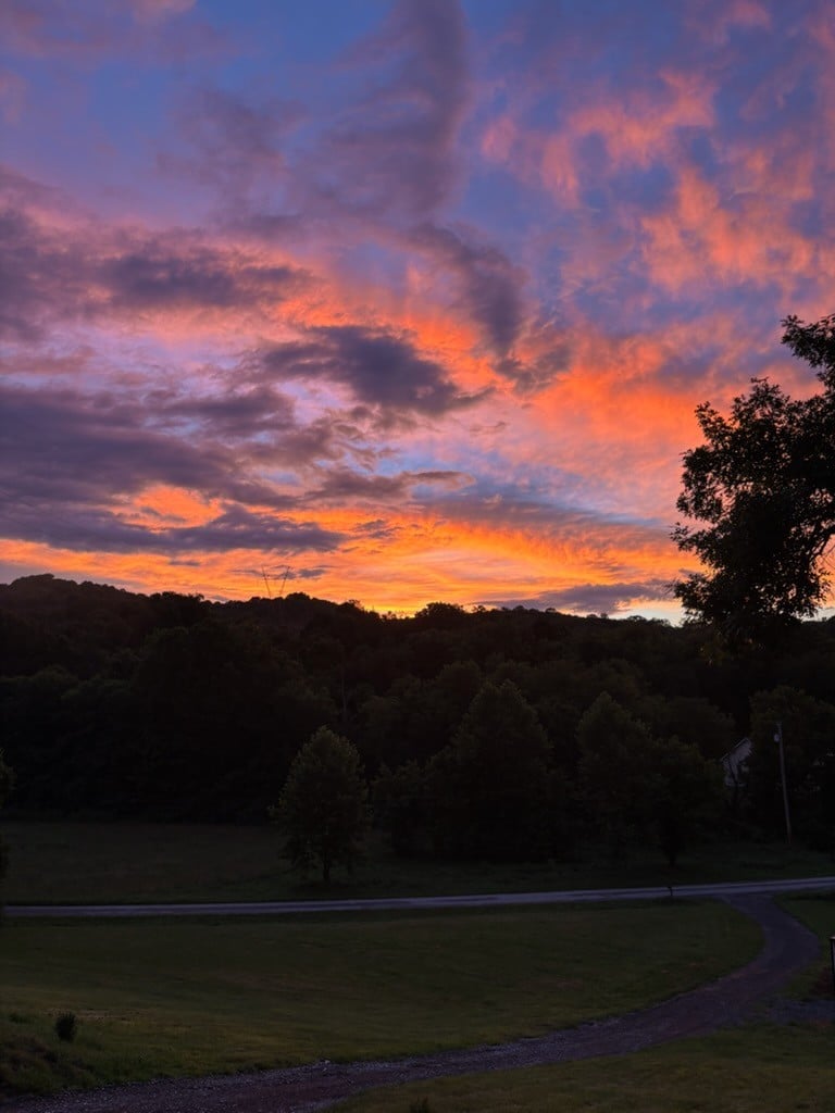 256 Enigma Rd, Chestnut Mound, TN 38552