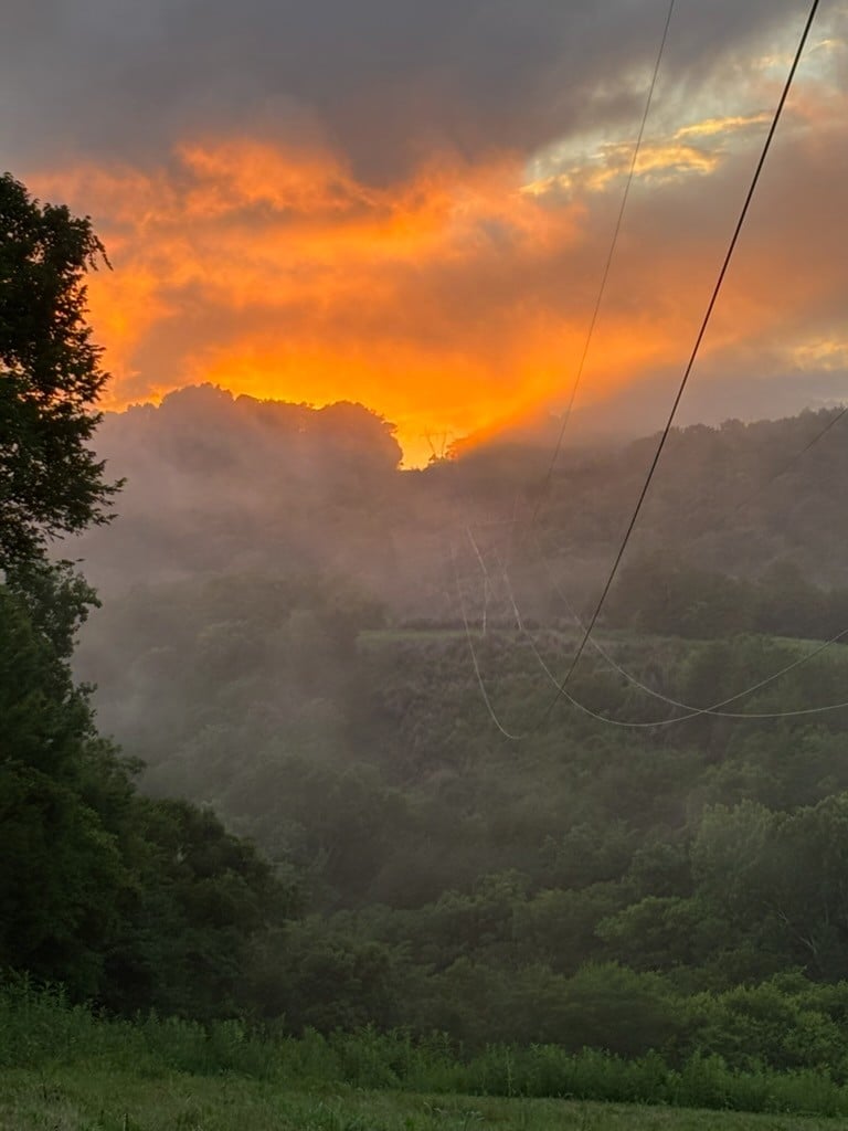 256 Enigma Rd, Chestnut Mound, TN 38552
