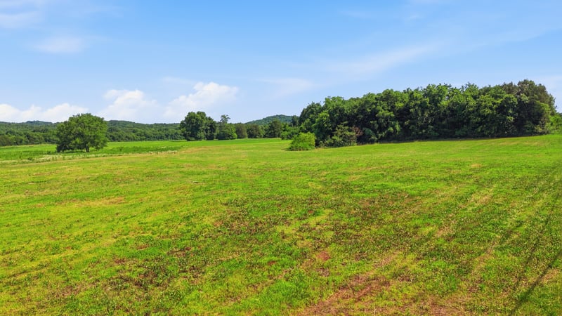 Flat Creek Rd, Spring Hill, TN 37174