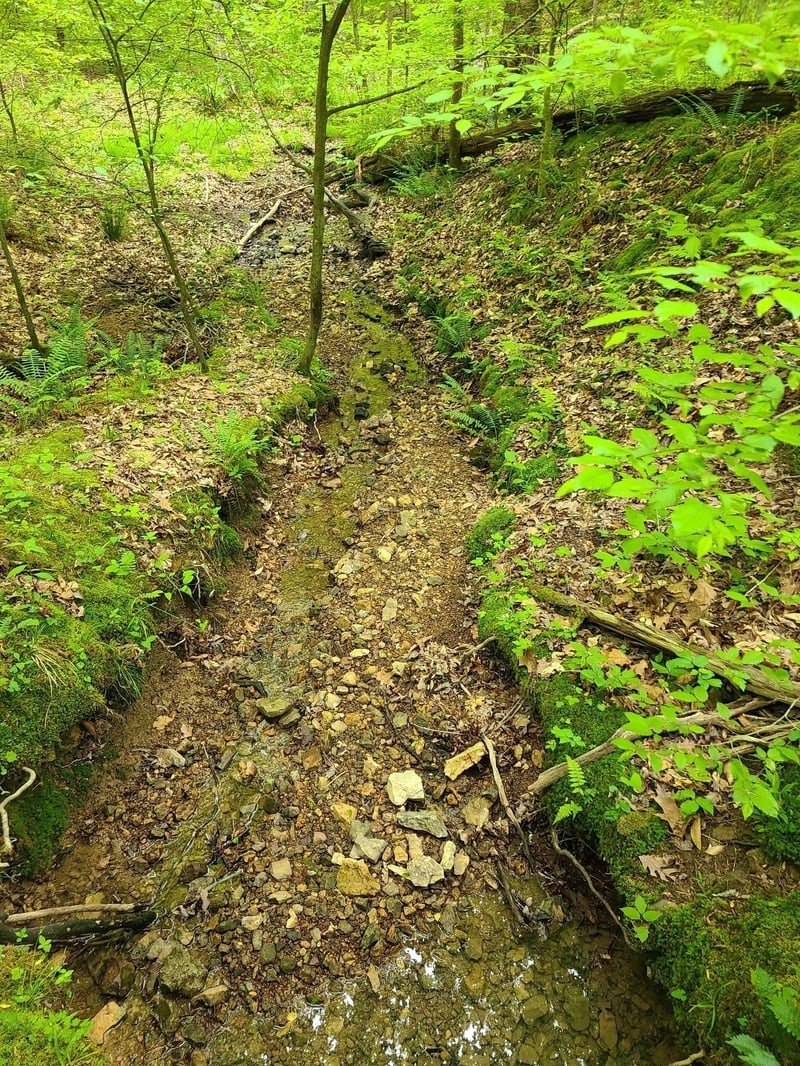 Davis Hollow Rd, Franklin, TN 37064