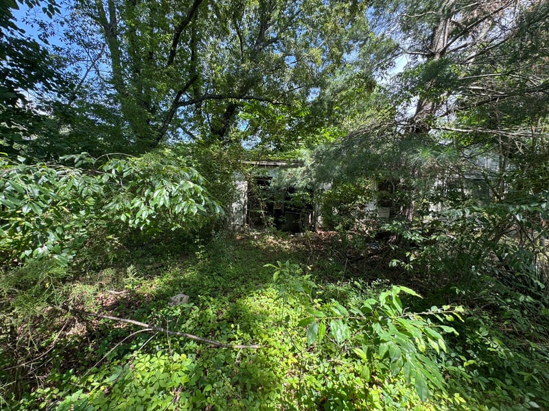 9108 Hwy 20 , Summertown, TN 38483