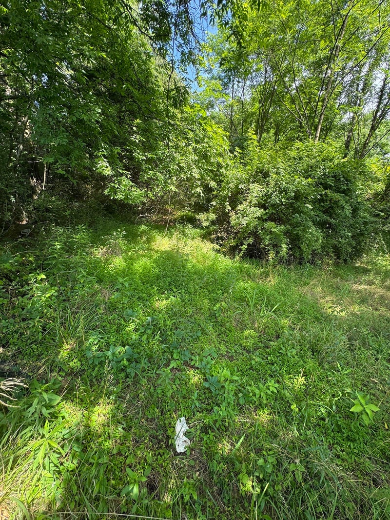9108 Hwy 20 , Summertown, TN 38483