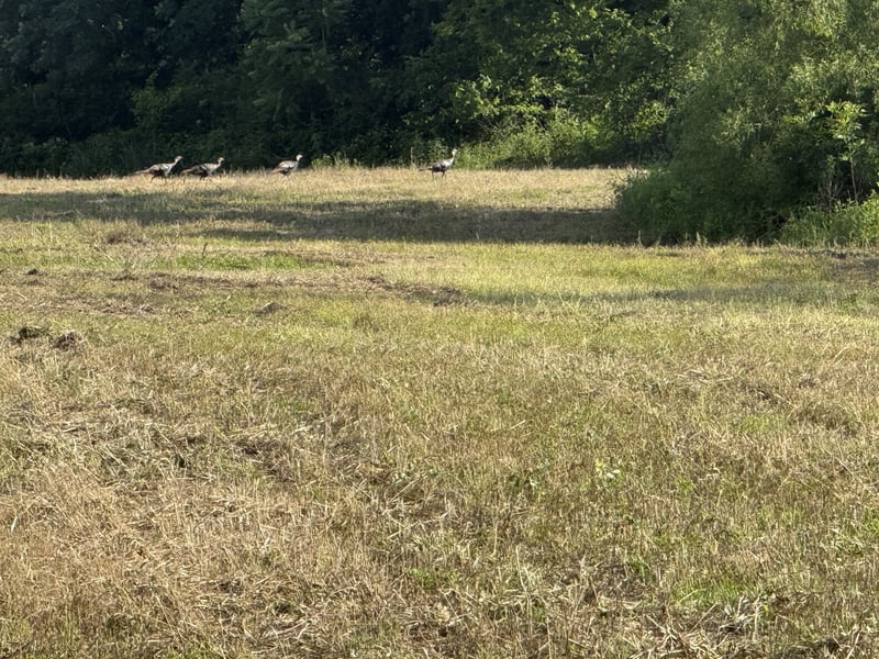 Burford Rd Lot 6, Lebanon, TN 37087