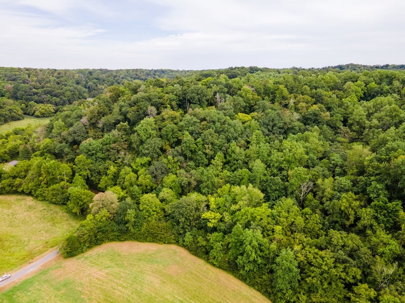 3045 Robert Skelley Rd, Columbia, TN 38401