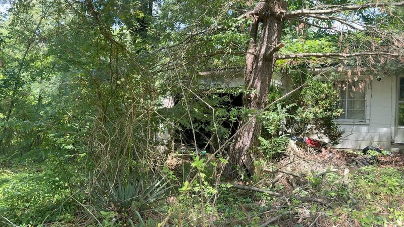 9108 Hwy 20 , Summertown, TN 38483