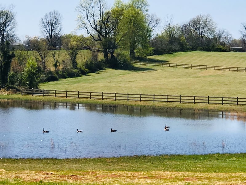 576 Womack Rd Lot 2, Bethpage, TN 37022