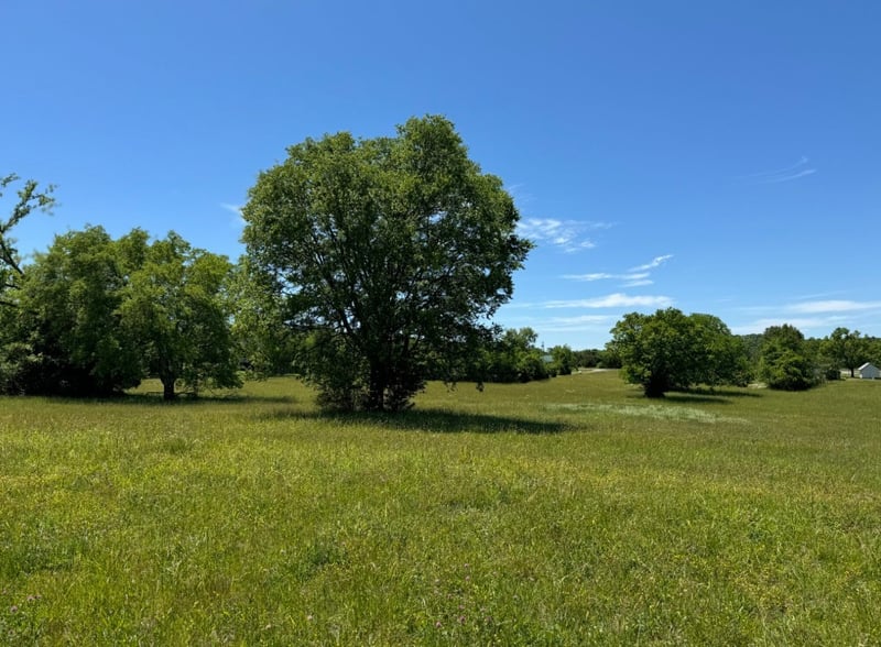0 Oak Grove Rd Lot 3, Lebanon, TN 37090