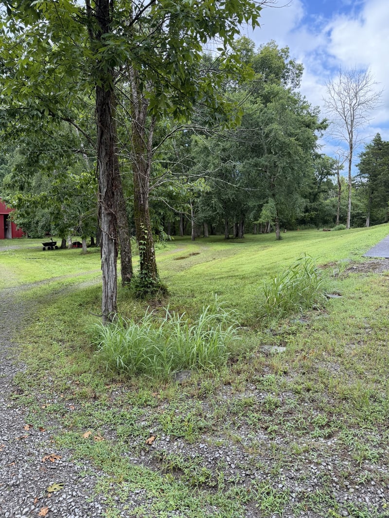 3287 Overall Rd, Lascassas, TN 37085