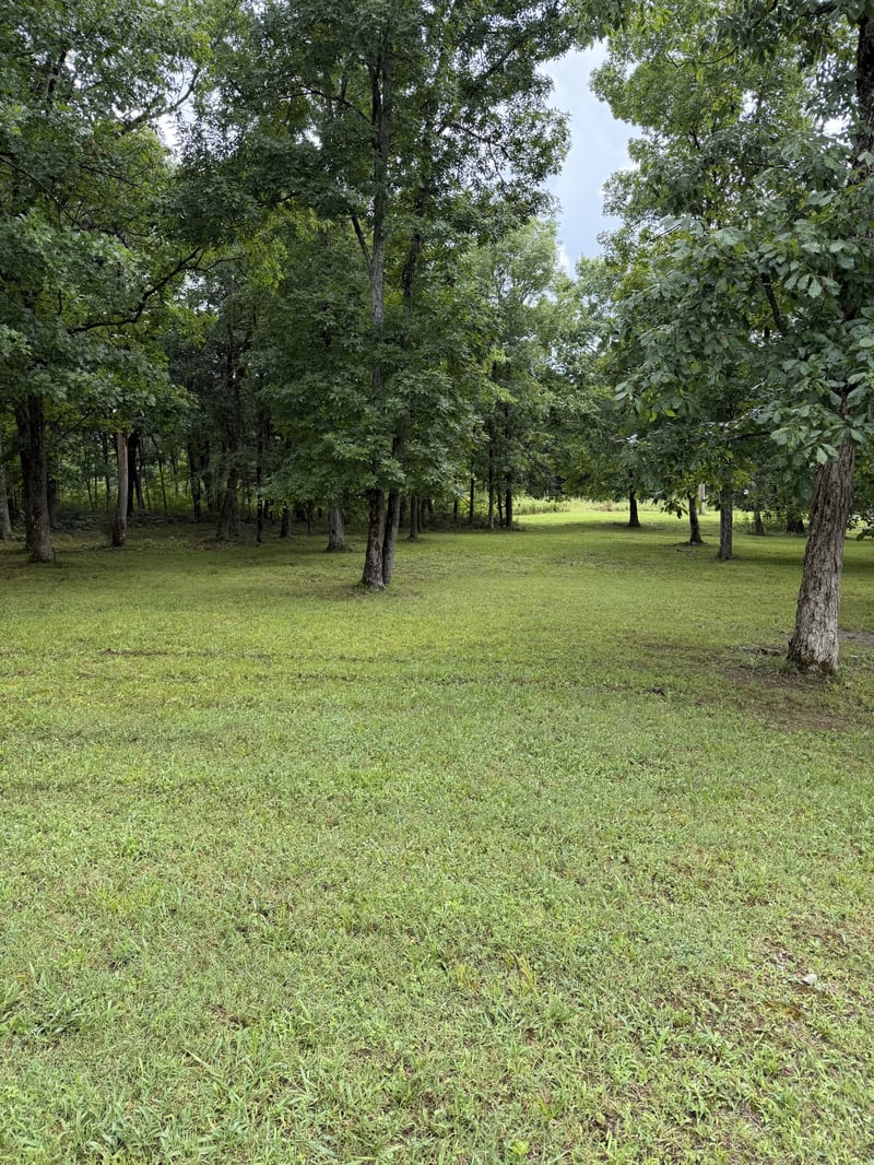 3287 Overall Rd, Lascassas, TN 37085