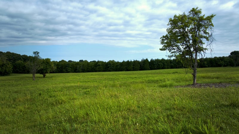 10249 Central Pike Lot 3, Mount Juliet, TN 37122