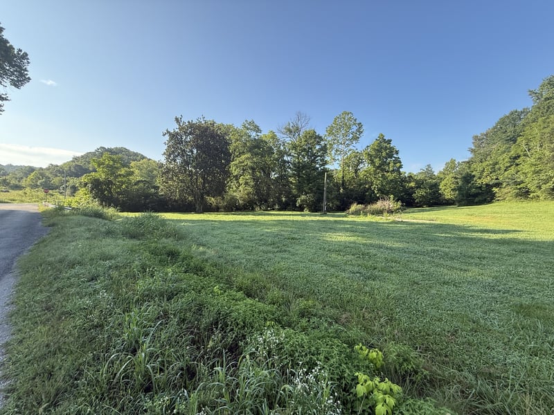 2407 Esque Sharp Rd, Mount Pleasant, TN 38474