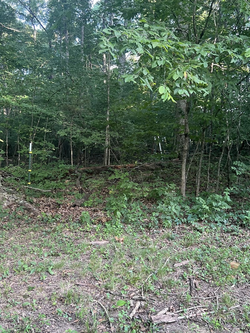 7270 Twelve Corners Rd, Lascassas, TN 37085