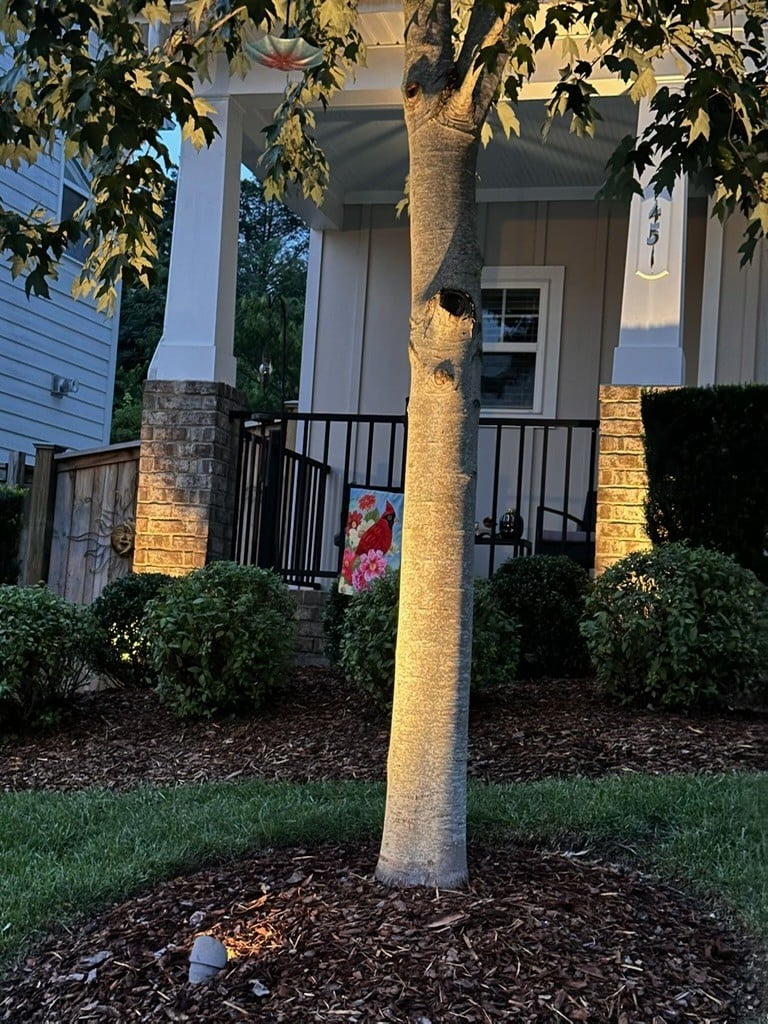 451 Red Sunset Ct, Brentwood, TN 37027