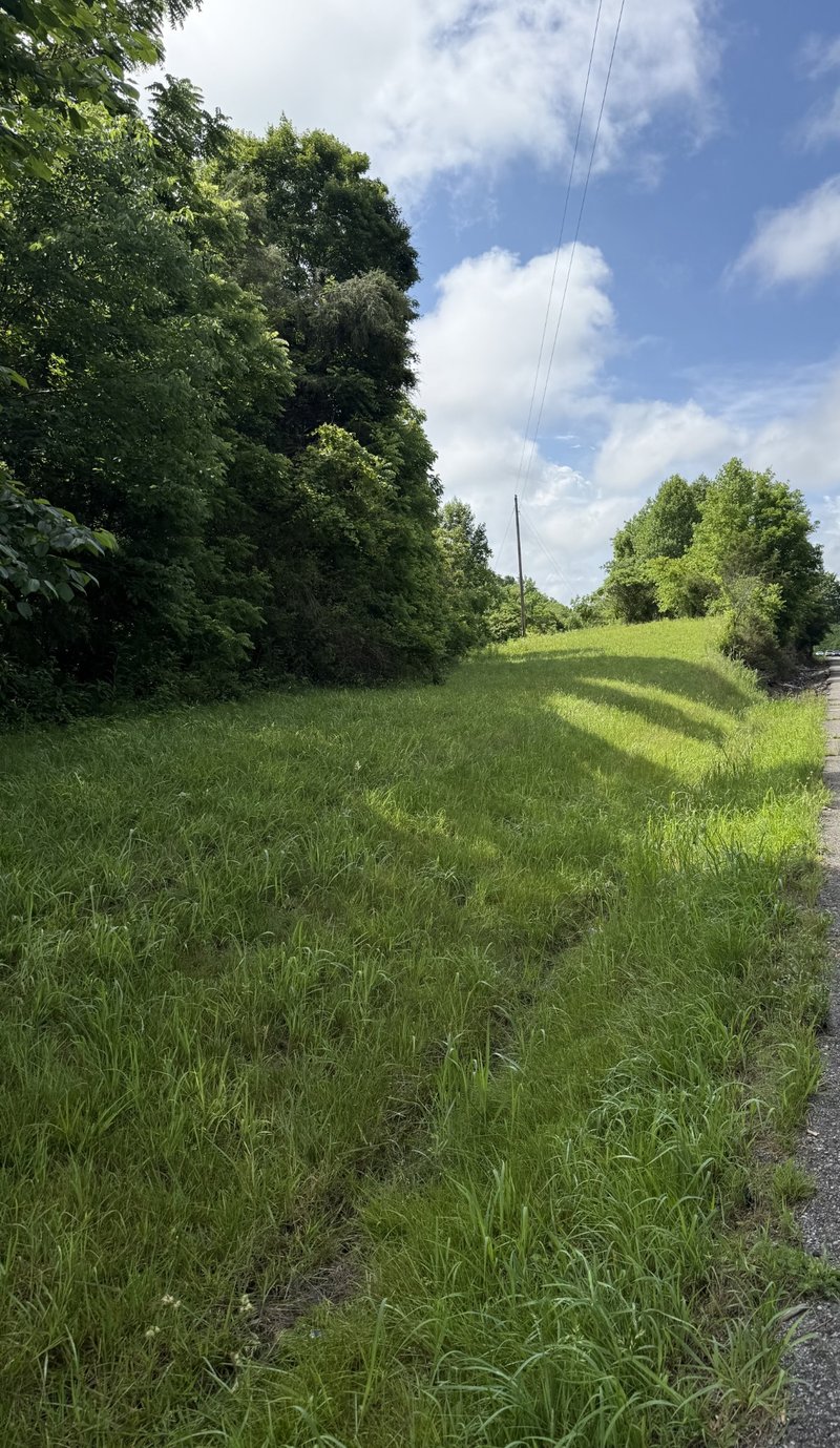 Highway 31 , Westmoreland, TN 37186