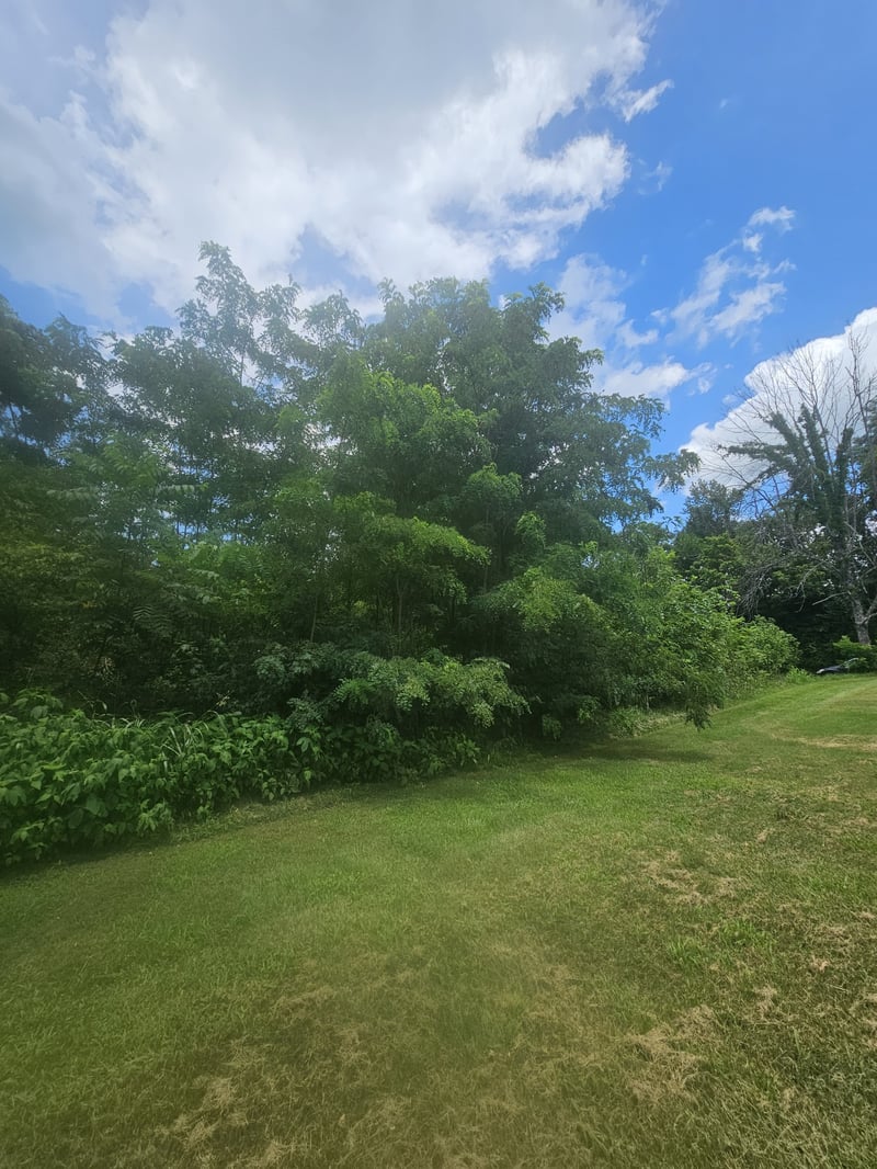 31 W Hwy, White House, TN 37188
