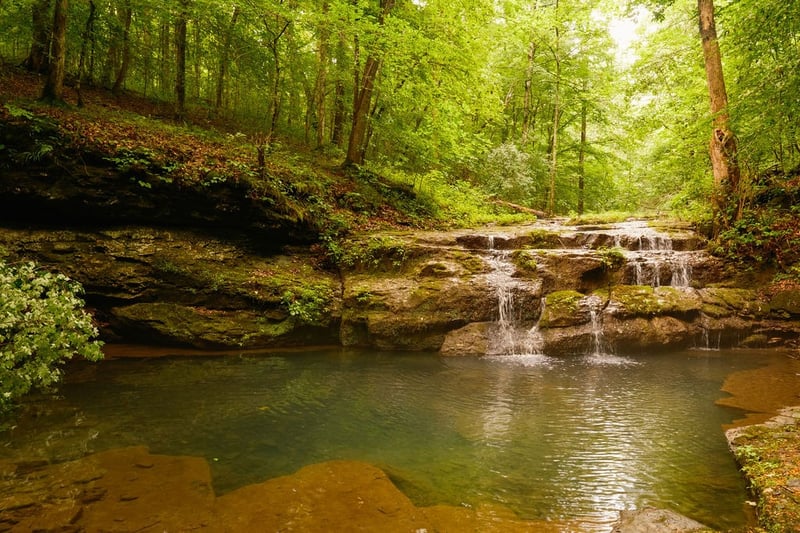 1130 Maple Valley Rd, Cumberland Furnace, TN 37051