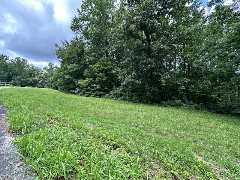 Les Hughes Rd, Fairview, TN 37062