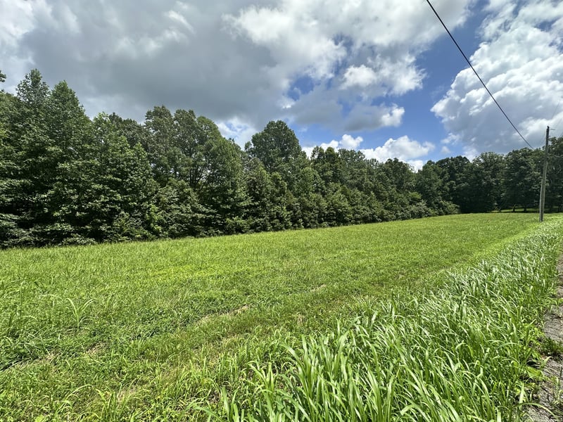 Les Hughes Rd, Fairview, TN 37062