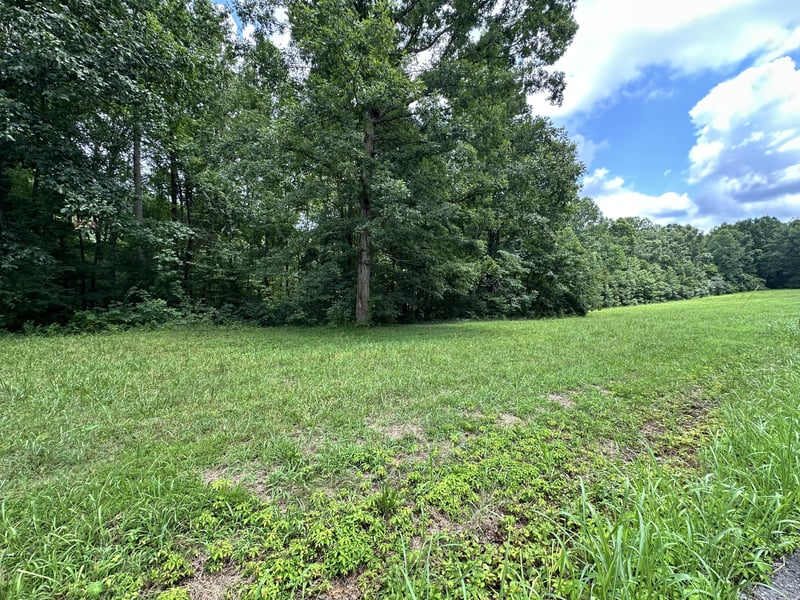 Les Hughes Rd, Fairview, TN 37062