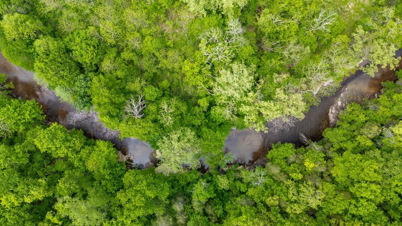 0 Crow Cut Rd, Fairview, TN 37062
