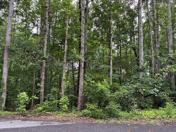 4672 Heath Rd, Nashville, TN 37221