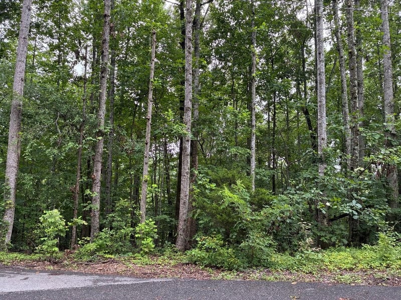 4672 Heath Rd, Nashville, TN 37221