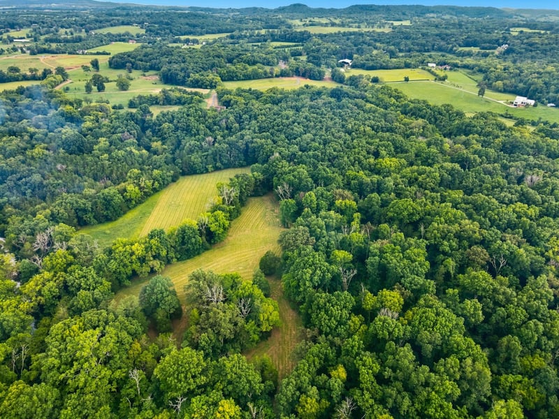 0 Webb Rd Lot 4, Eagleville, TN 37060