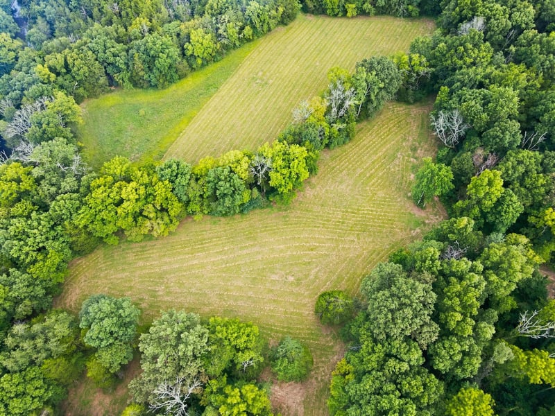 0 Webb Rd Lot 4, Eagleville, TN 37060