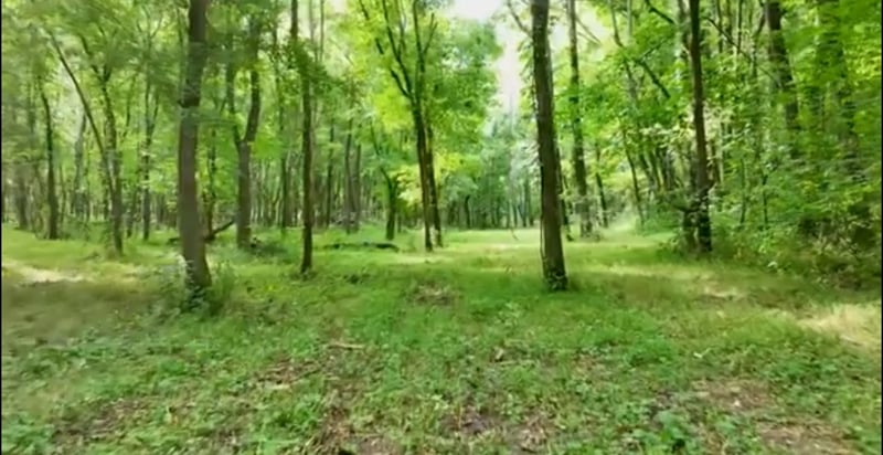 4 Reece Church Rd Lot 4, Columbia, TN 38401