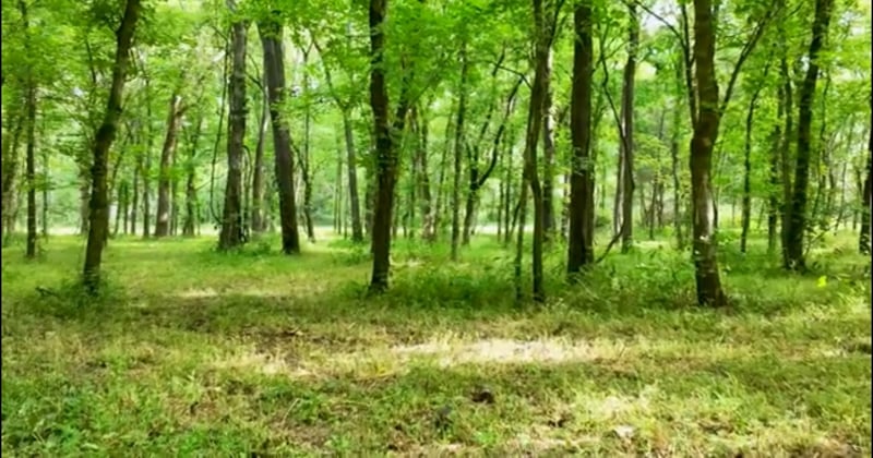 4 Reece Church Rd Lot 4, Columbia, TN 38401
