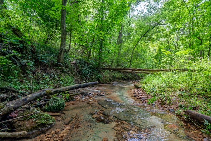 Bethlehem Rd, Springfield, TN 37172