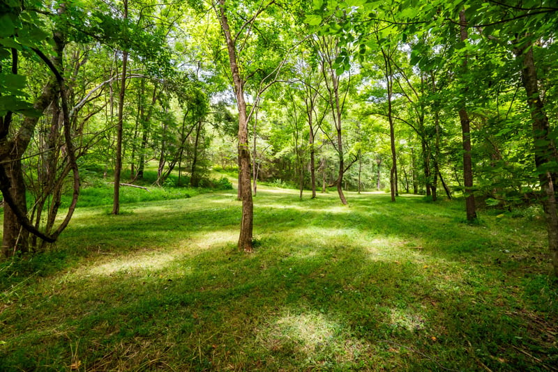 Bethlehem Rd, Springfield, TN 37172