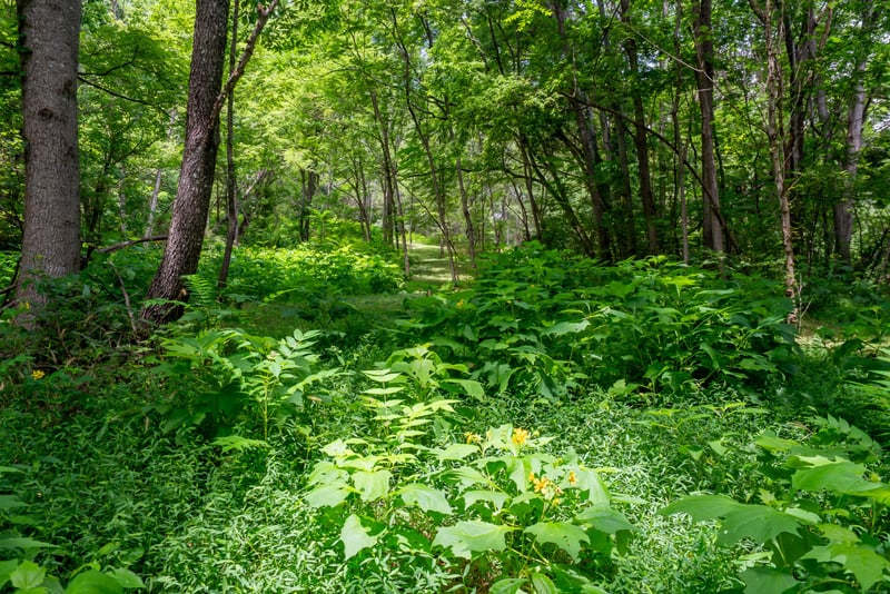Bethlehem Rd, Springfield, TN 37172