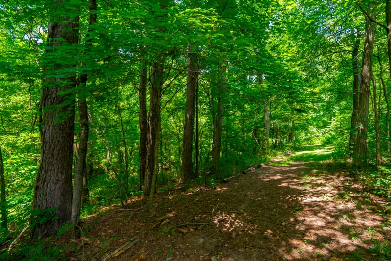 Bethlehem Rd, Springfield, TN 37172