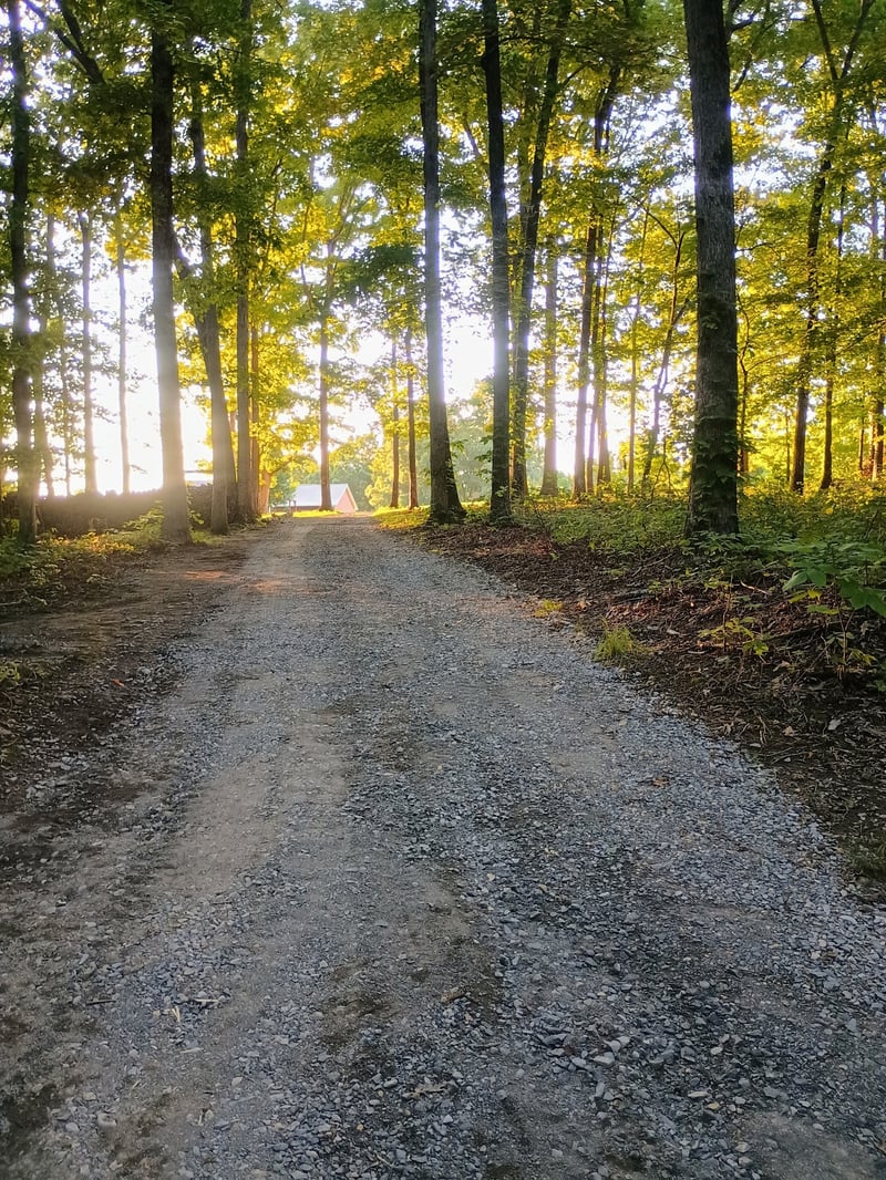 7863 Oscar Green Rd, Primm Springs, TN 38476