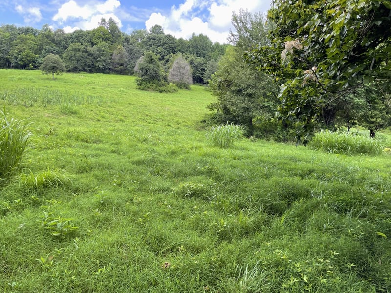 6461 Hwy 48 N Lot 2, Cumberland Furnace, TN 37051