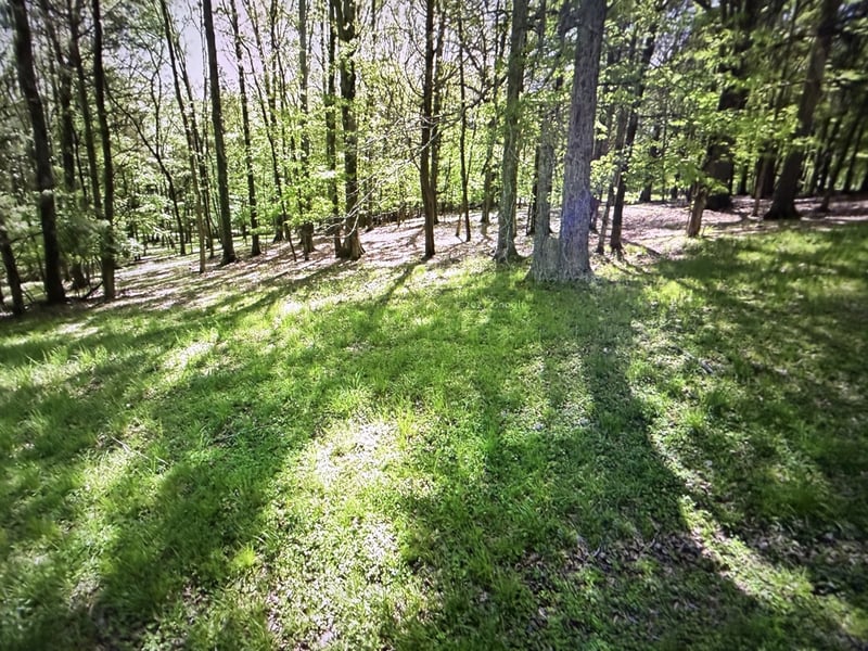 8575 Saundersville Rd, Mount Juliet, TN 37122