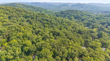 6038 Sherwood Ct, Nashville, TN 37215