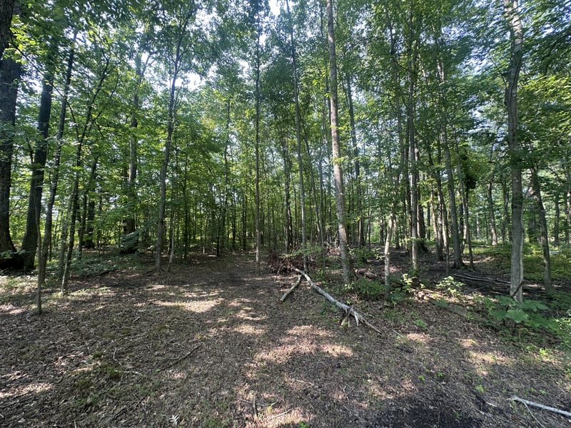 S Pinson Dr, White House, TN 37188