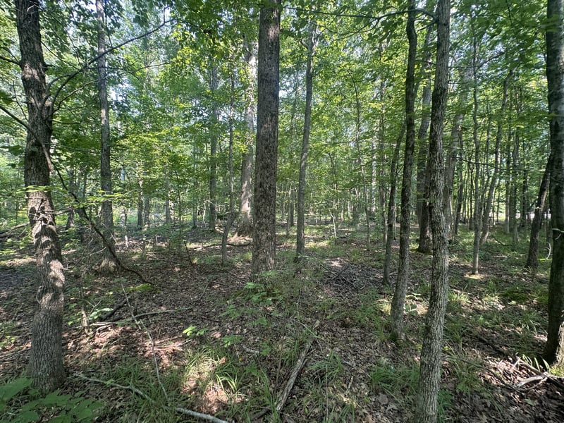 S Pinson Dr, White House, TN 37188