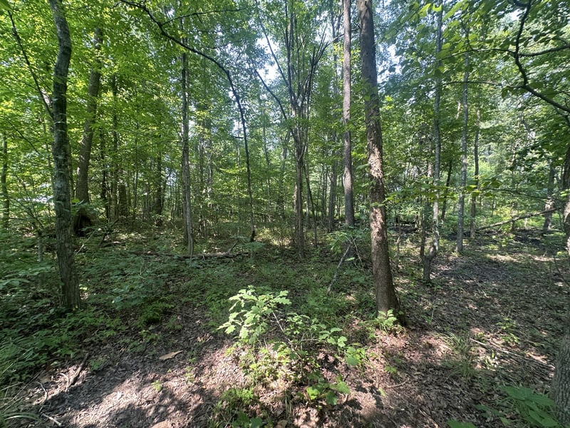 S Pinson Dr, White House, TN 37188