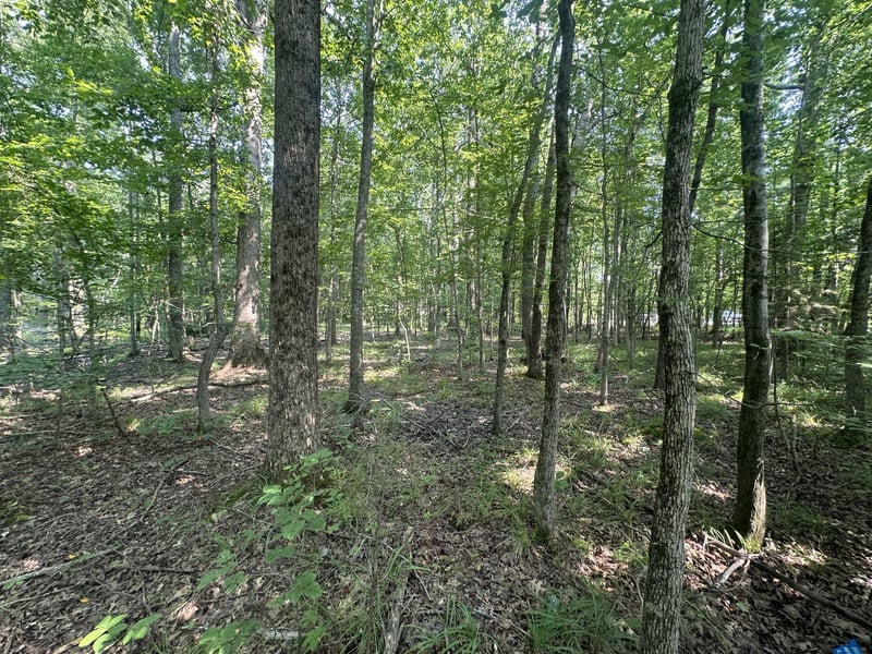 S Pinson Dr, White House, TN 37188