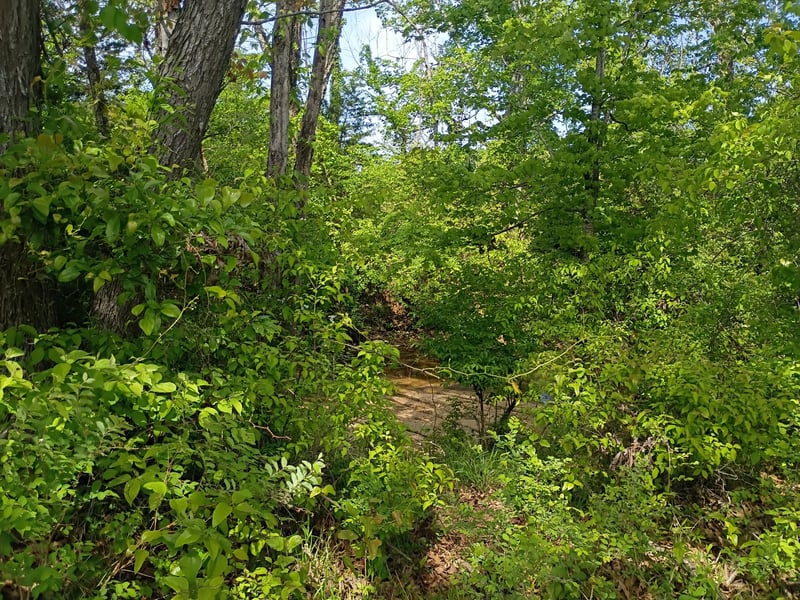 1931 Bear Creek Pike, Columbia, TN 38401