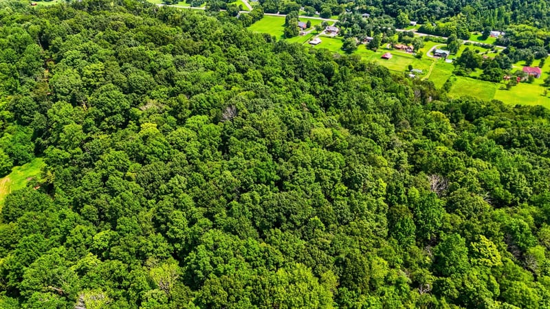 Whites Creek Pike, Whites Creek, TN 37189