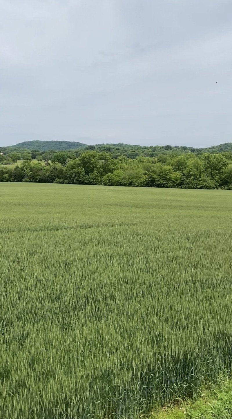 513 Suzanne Way Lot 15, Bethpage, TN 37022