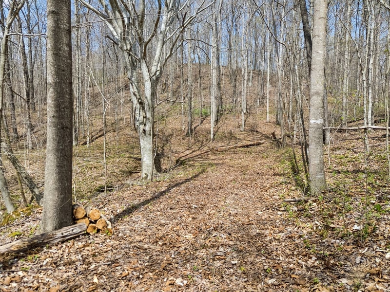 0 Old Highway 31e, Westmoreland, TN 37186