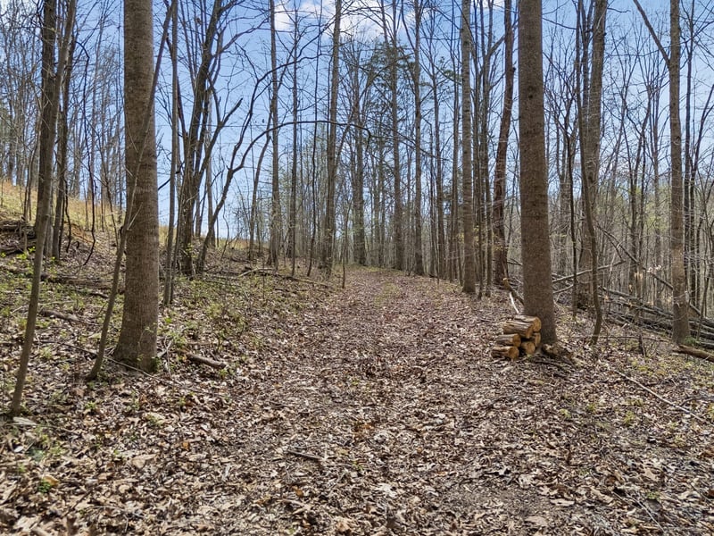 0 Old Highway 31e, Westmoreland, TN 37186