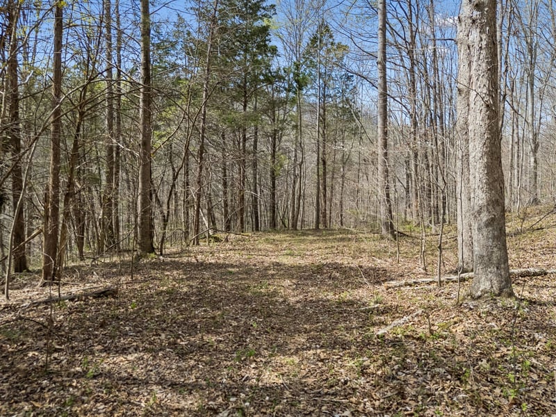 0 Old Highway 31e, Westmoreland, TN 37186