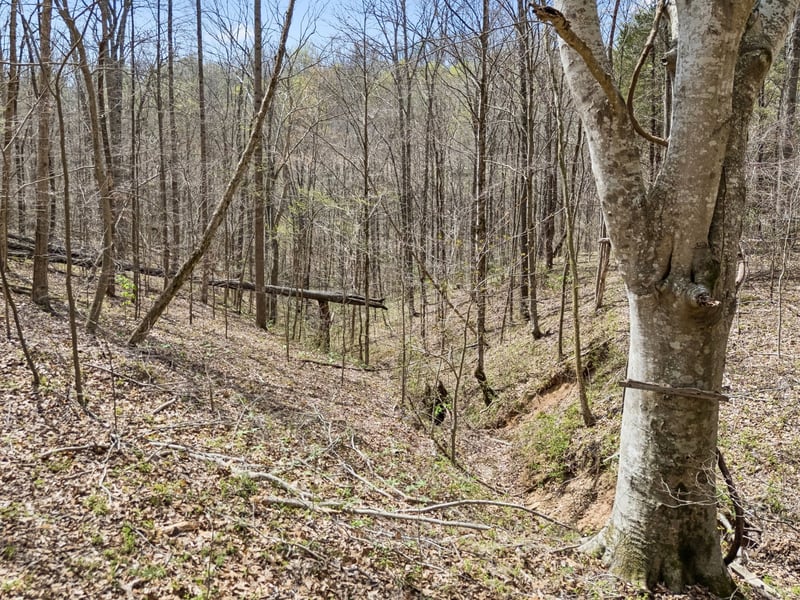 0 Old Highway 31e, Westmoreland, TN 37186